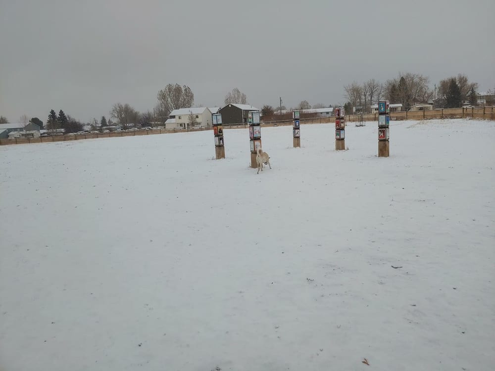 Lewis and Bark Dog Park, photo 3