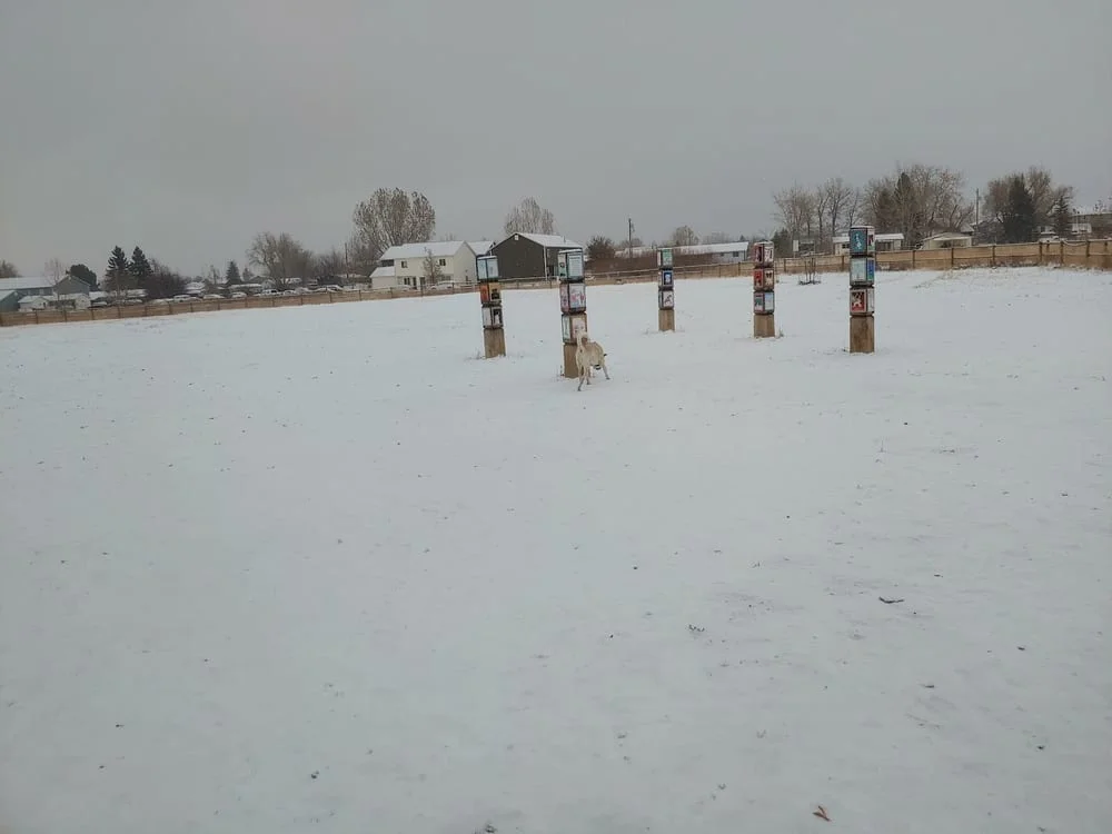 Lewis and Bark Dog Park, photo 3