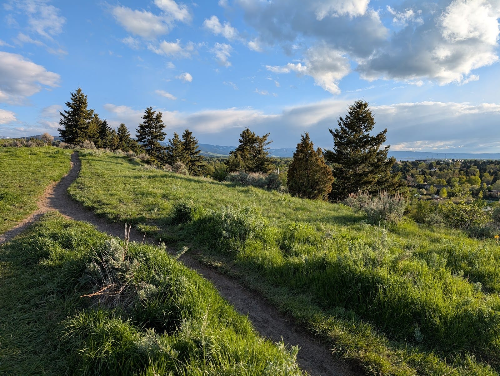 Peets Hill/Burke Park