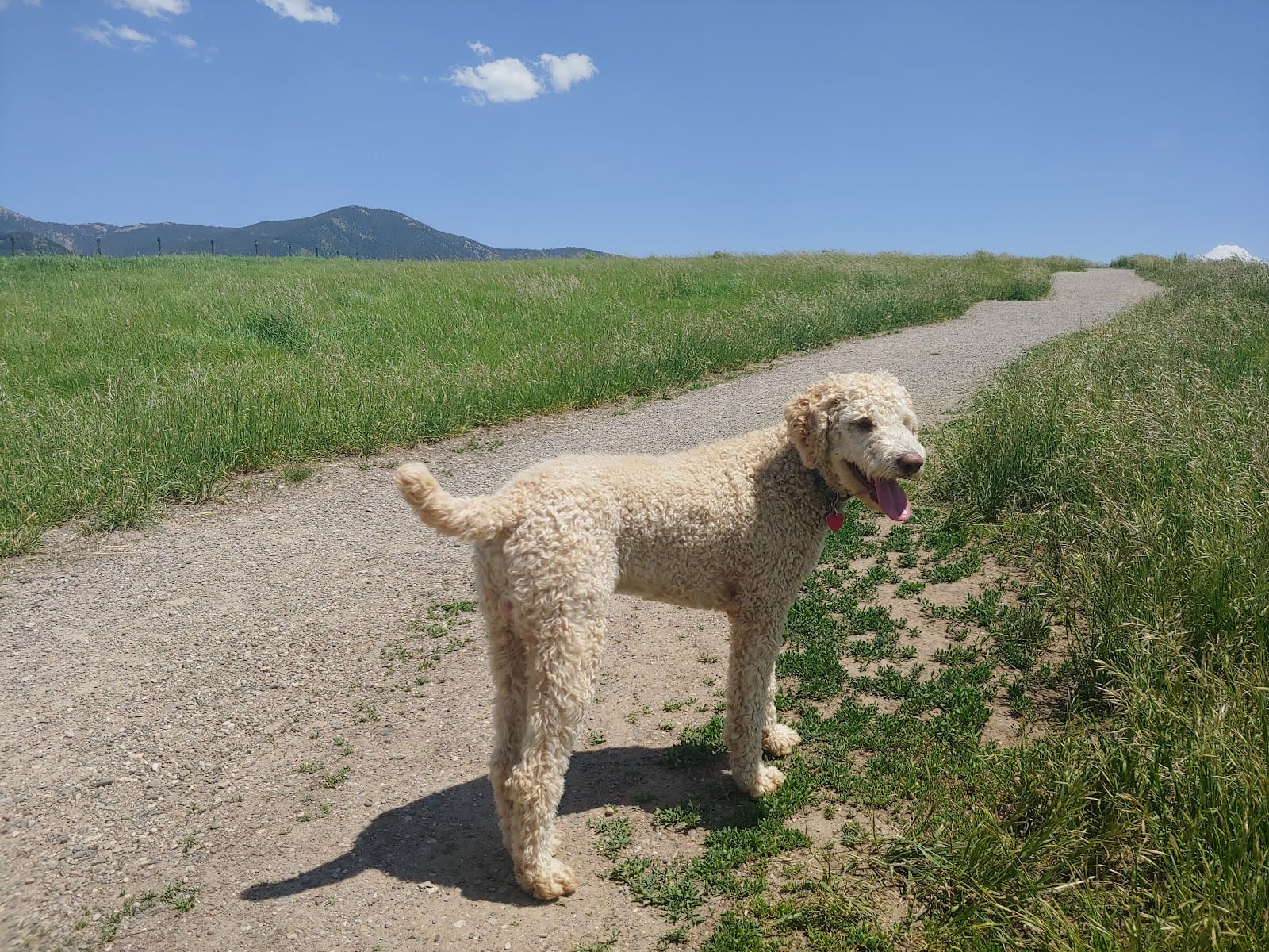 Snowfill Recreation Area