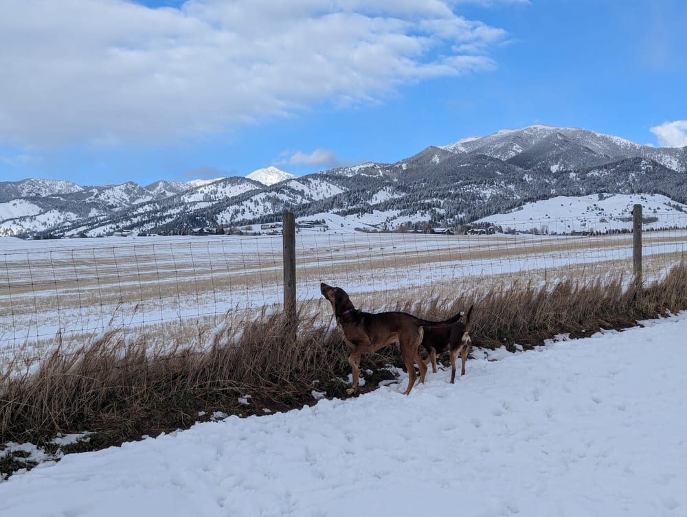Snowfill Recreation Area, photo 2