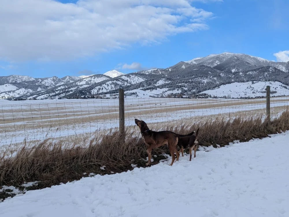 Snowfill Recreation Area, photo 2