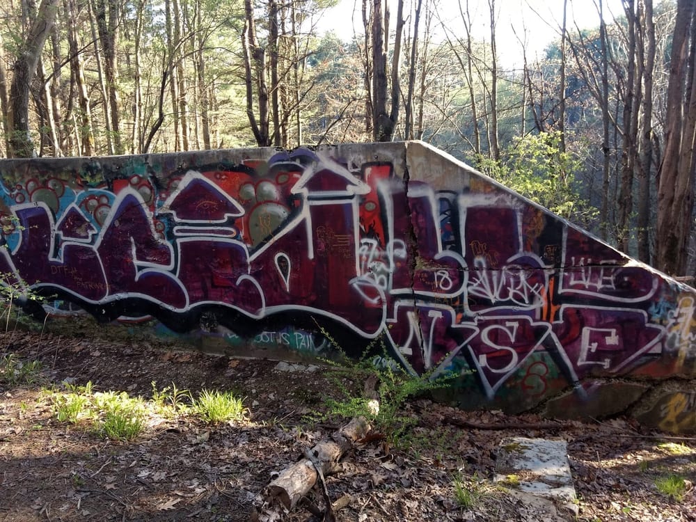 Centennial Woods Natural Area, photo 2