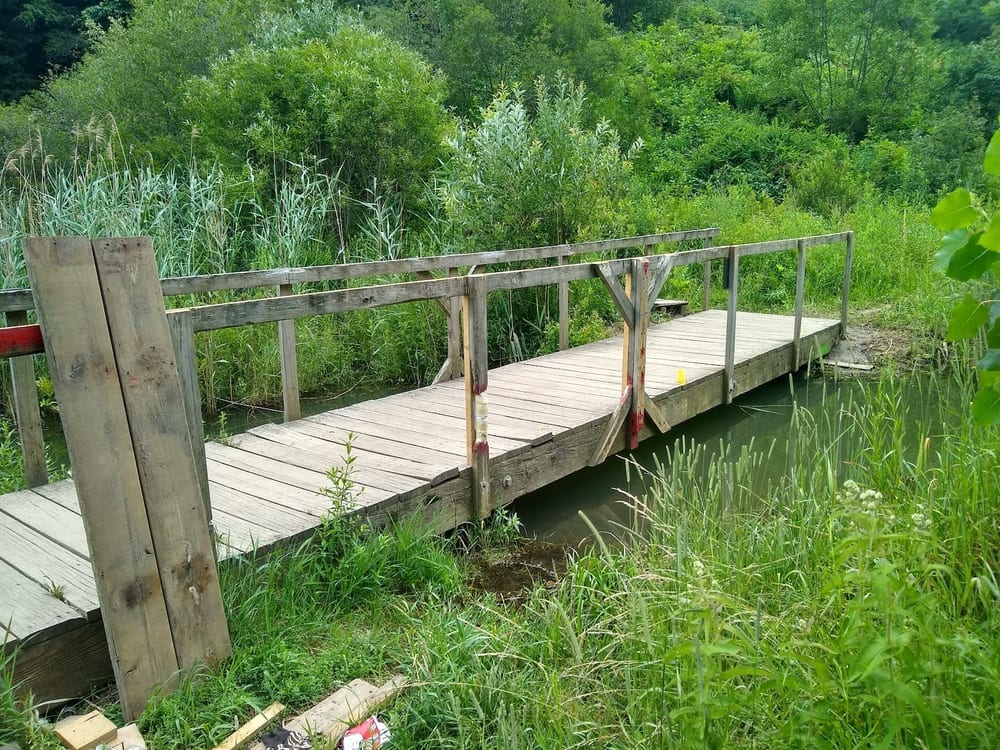 Centennial Woods Natural Area, photo 3