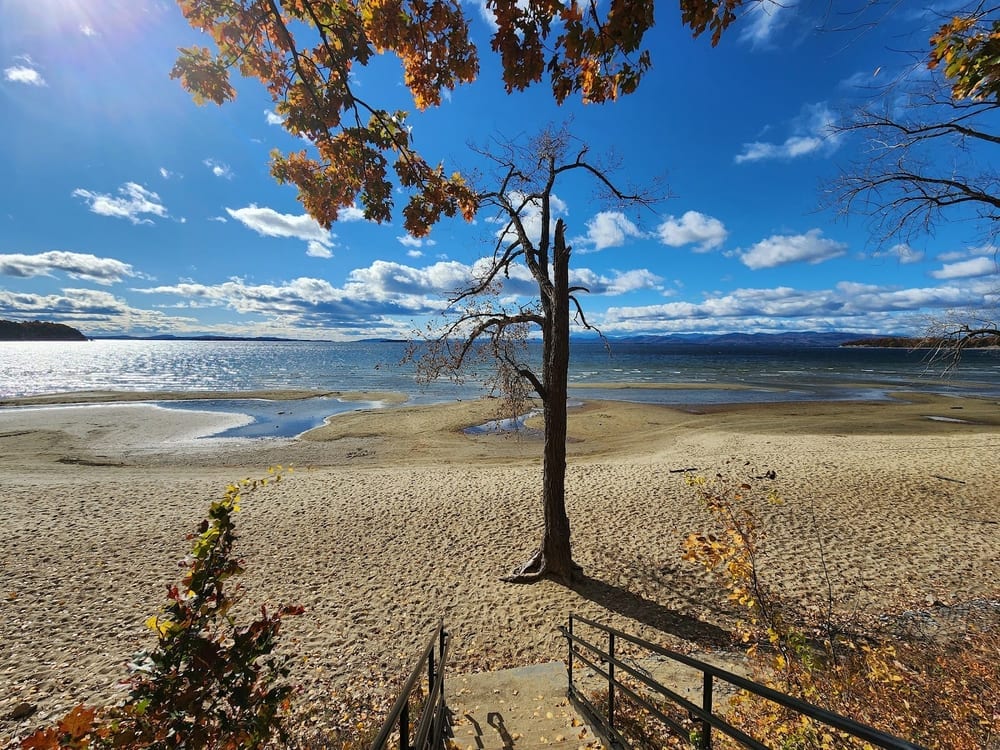 Leddy Beach, photo 3