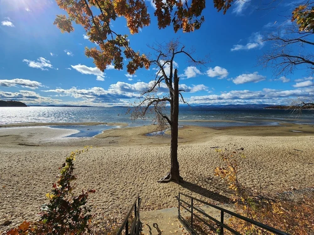Leddy Beach, photo 3