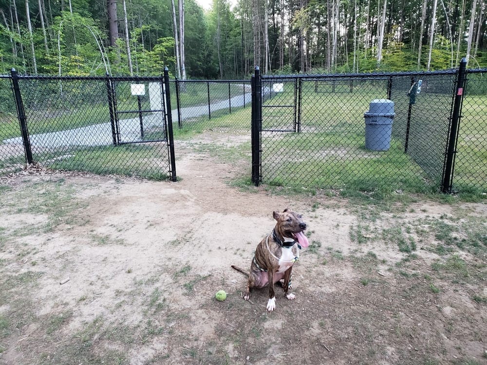 Milton Dog Park, photo 2