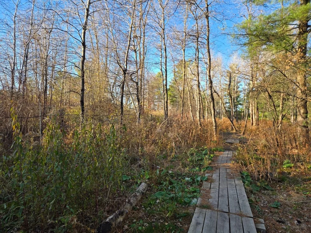 Shelburne Dog Park, photo 3