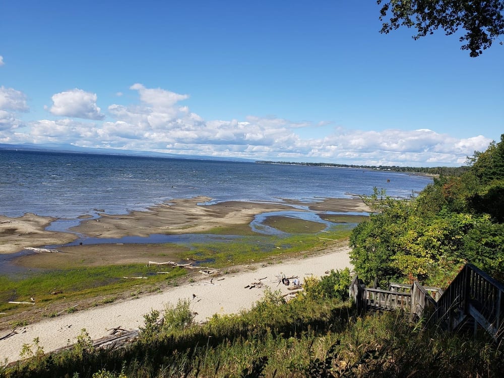 Starr Farm Dog Park, photo 2