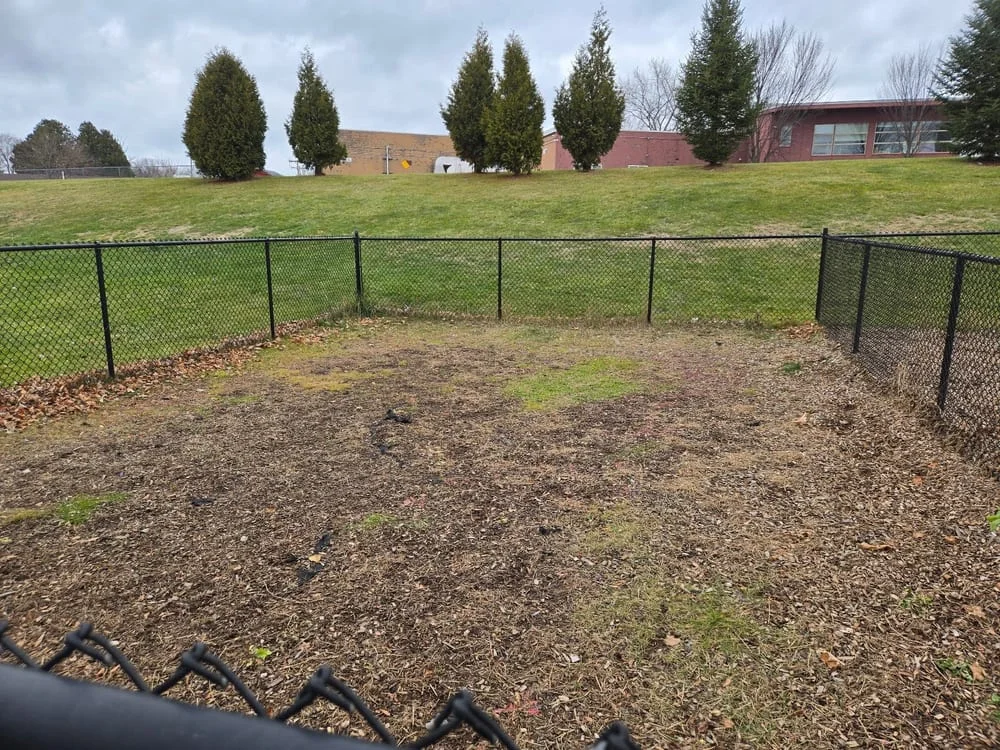 West Allen Park Dog Park, photo 3