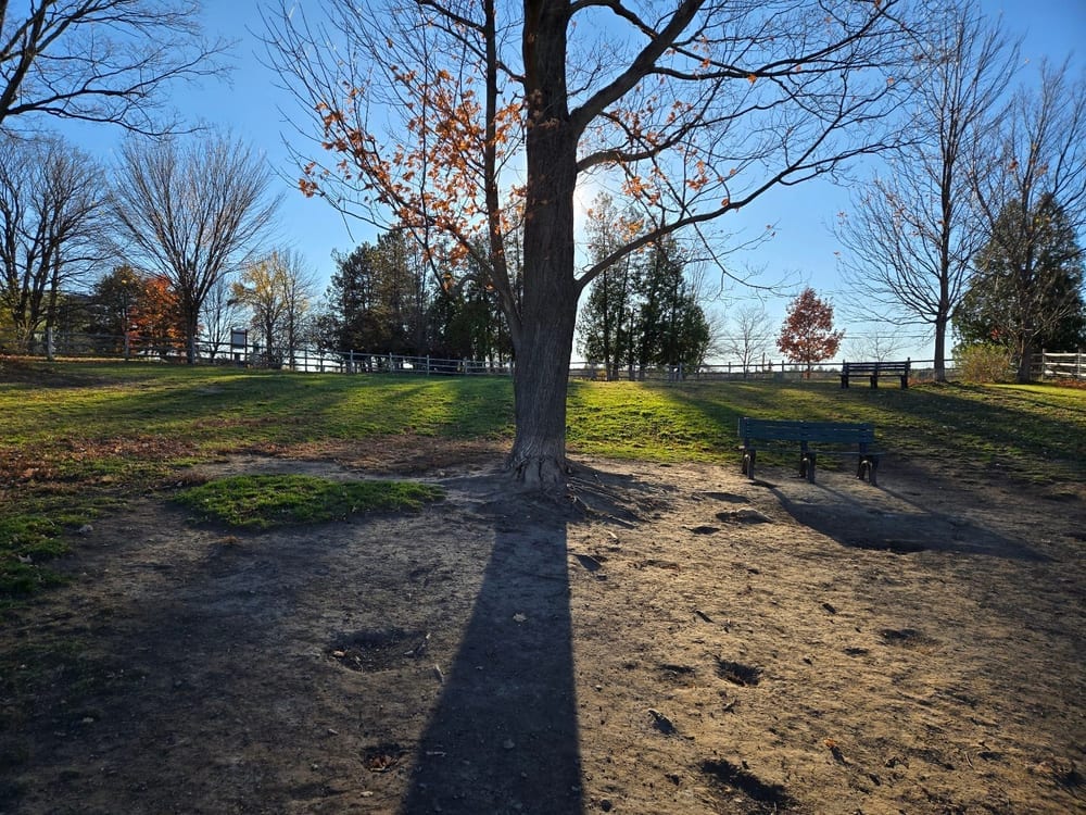 Wheeler Dog Park — photo 3