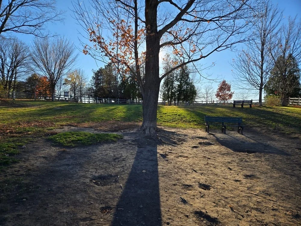 Wheeler Dog Park, photo 3