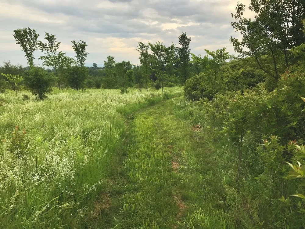 Wheeler Nature Park, photo 3