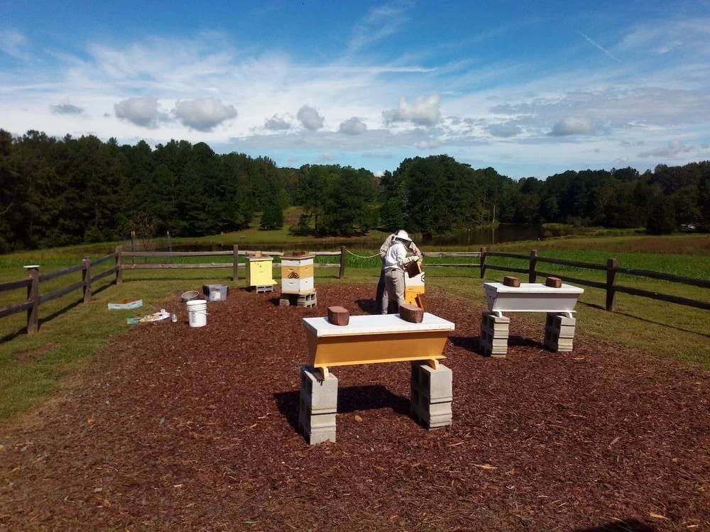 Blackwood Farm Park, photo 2