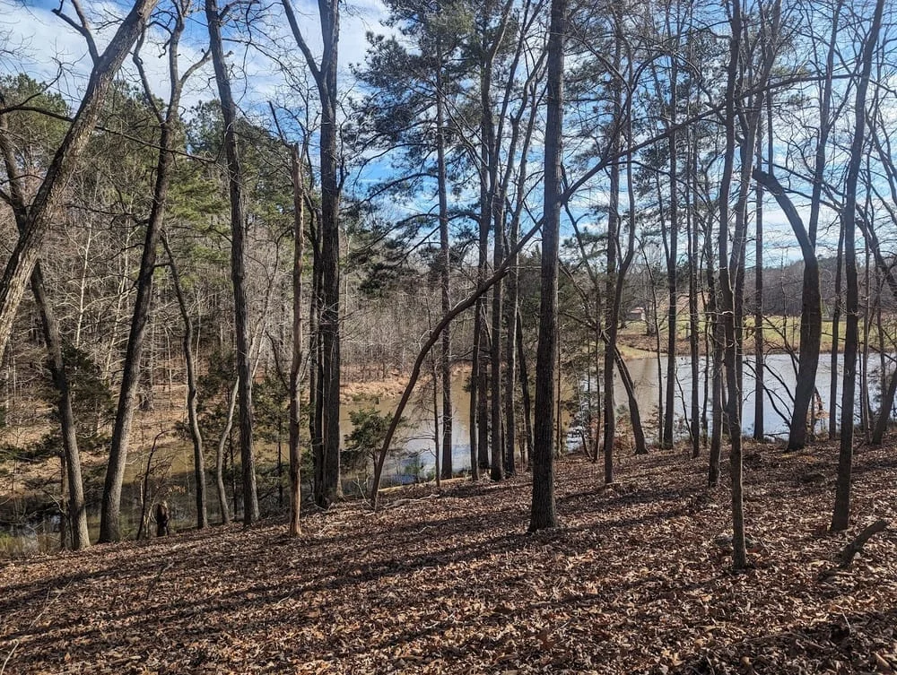 Blackwood Farm Park, photo 3
