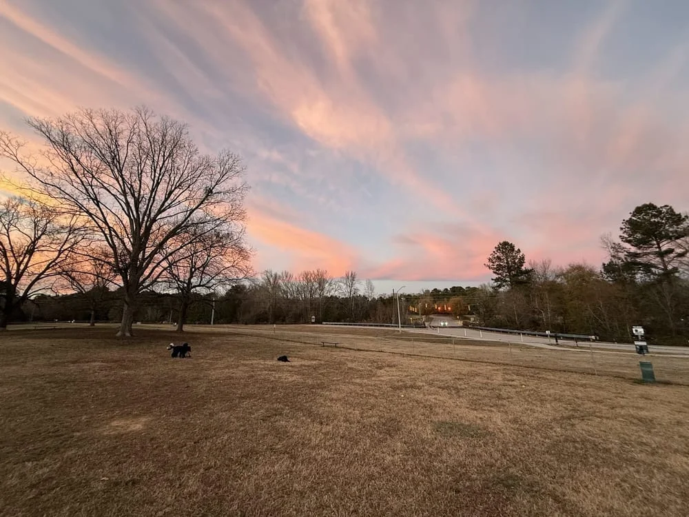 The Park at Briar Chapel, photo 3