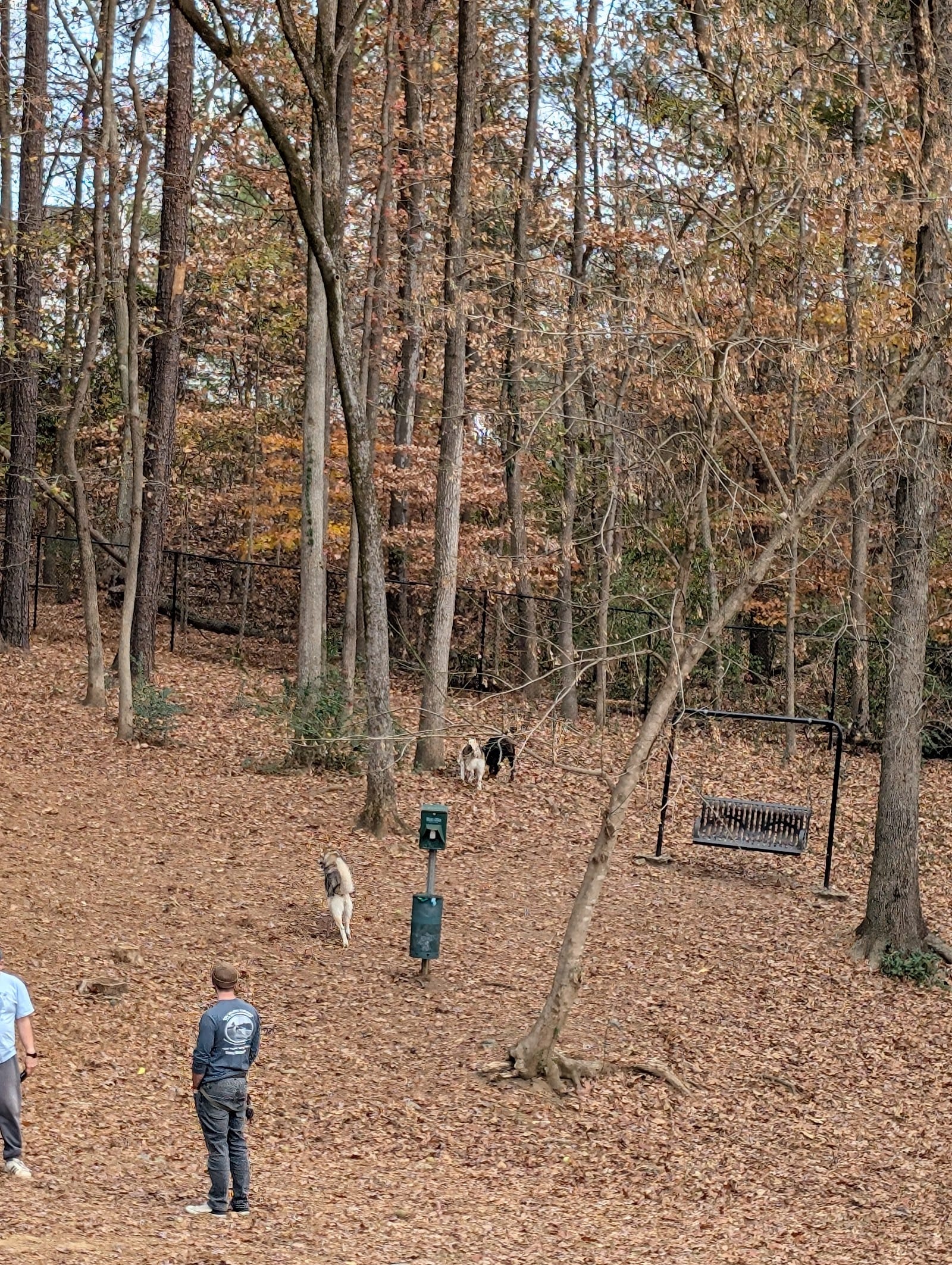 Canine Commons Dog Park