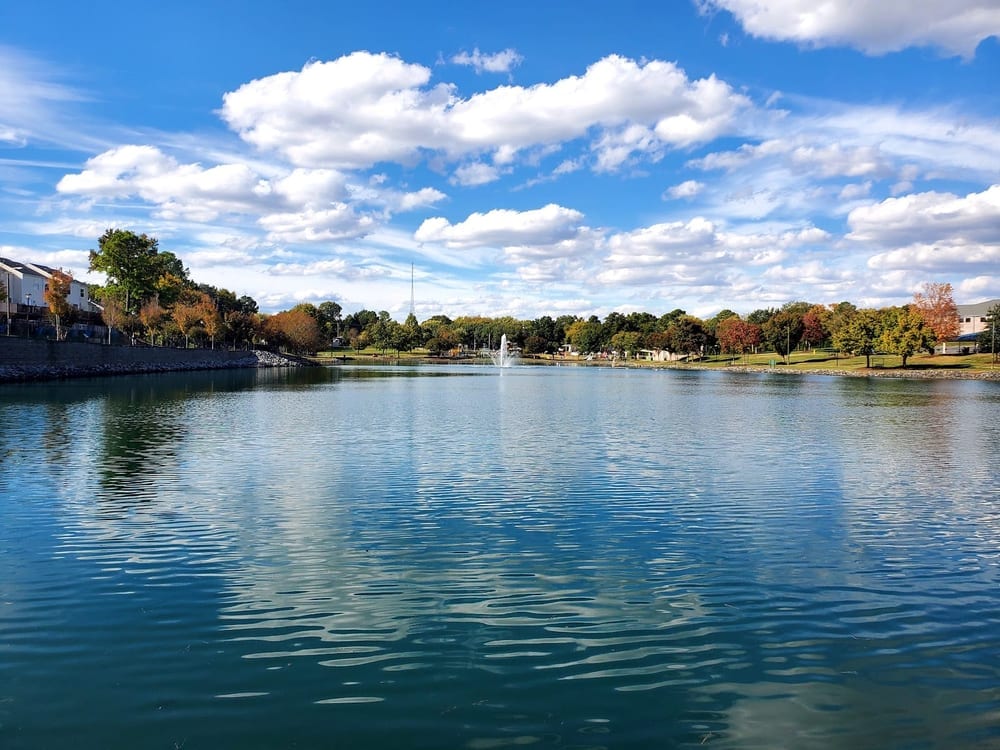 Canine Commons Dog Park, photo 2