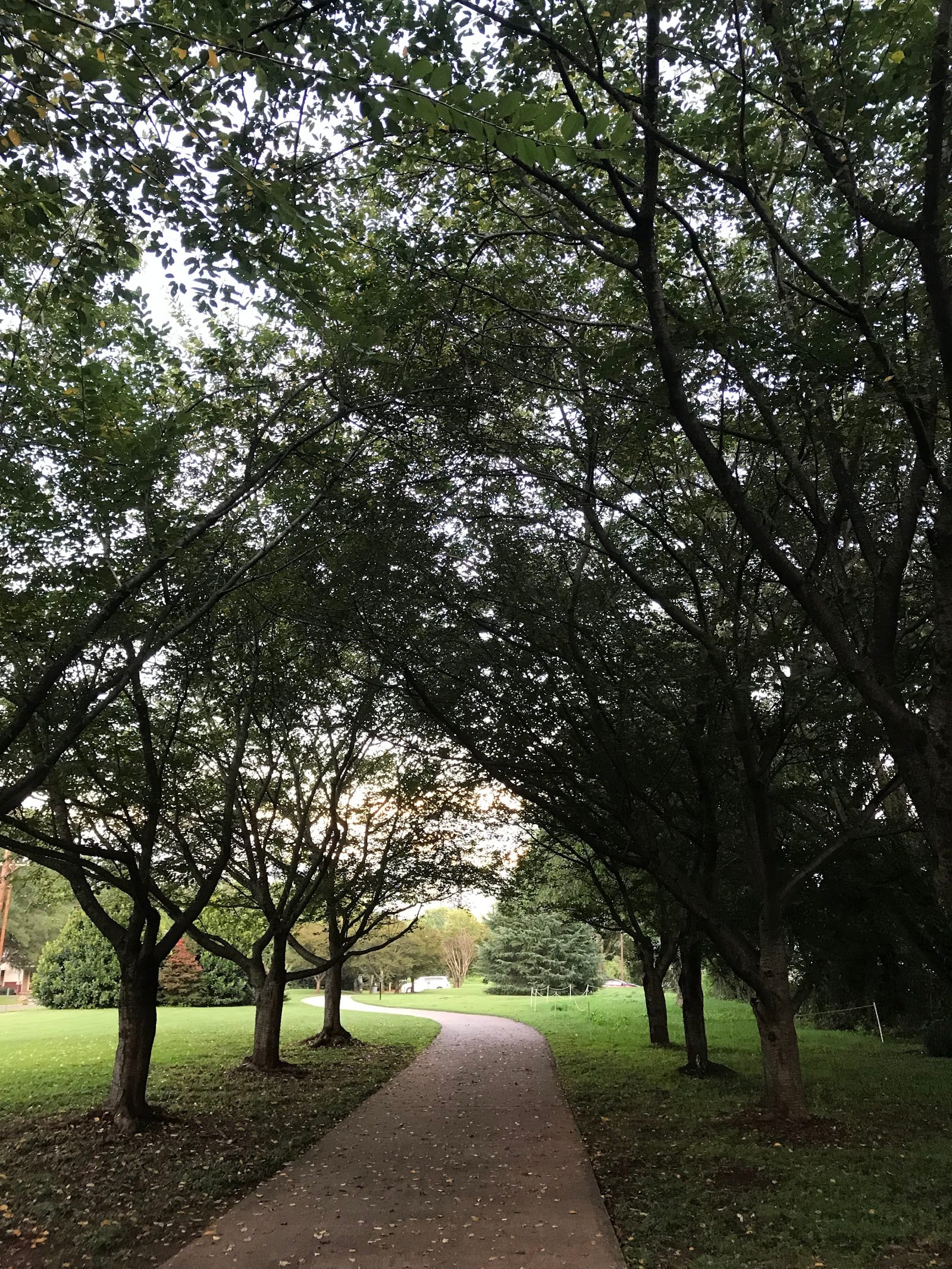 Dog park in Charlotte