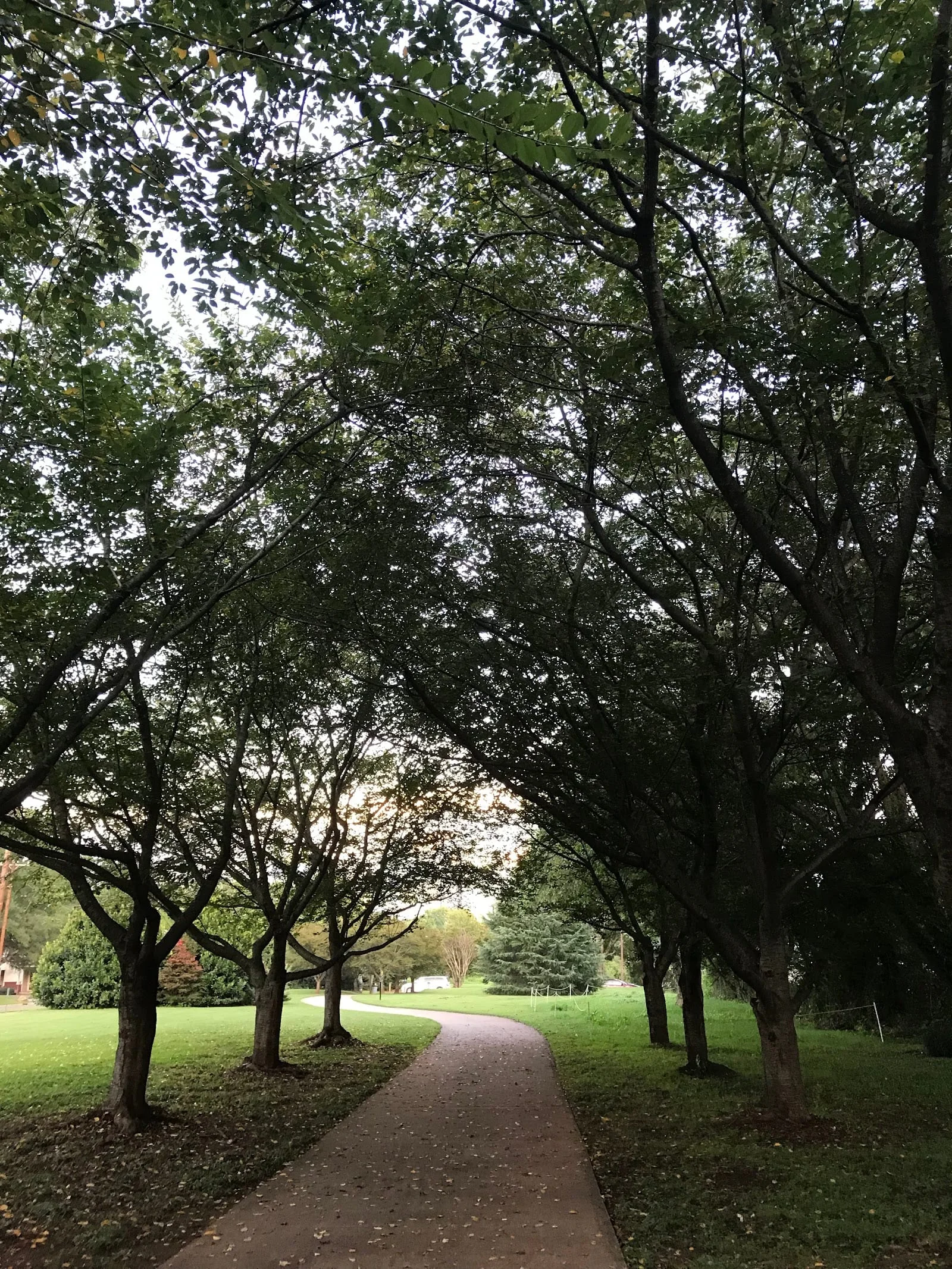 Dog park in Charlotte