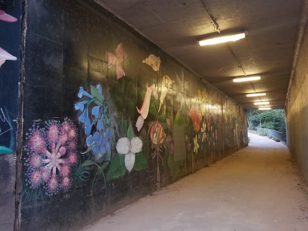 Frazier Place dog park, photo 3