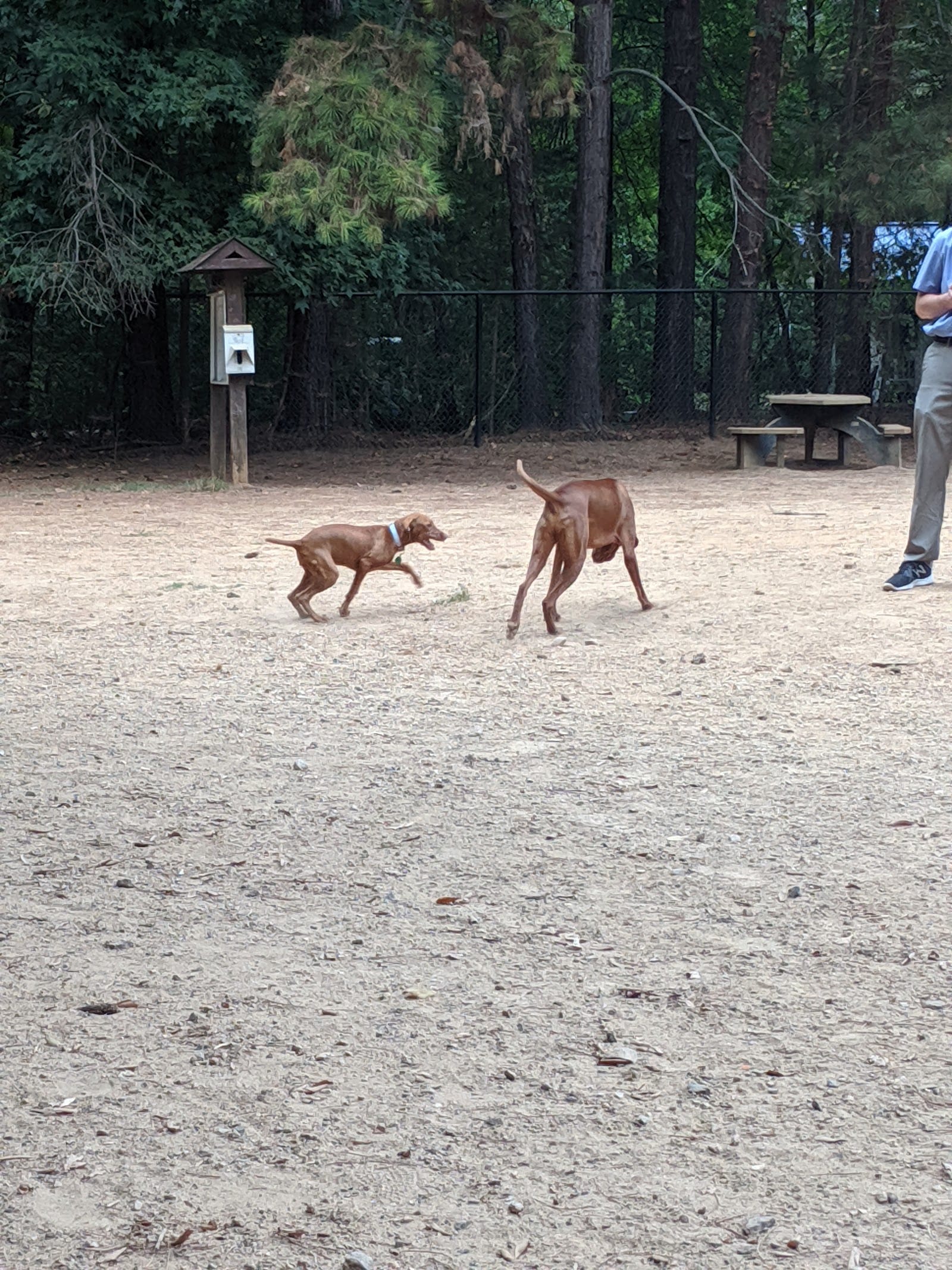 K9 Park At Ramsey Creek