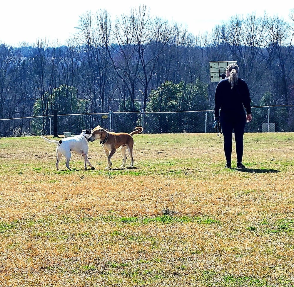 McAlpine Creek Dog Park, photo 2