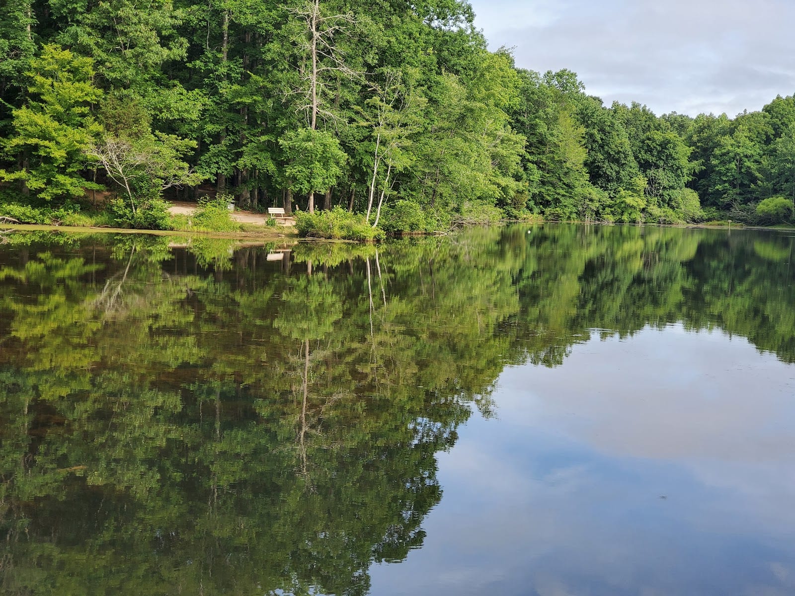 Reedy Creek Nature Preserve