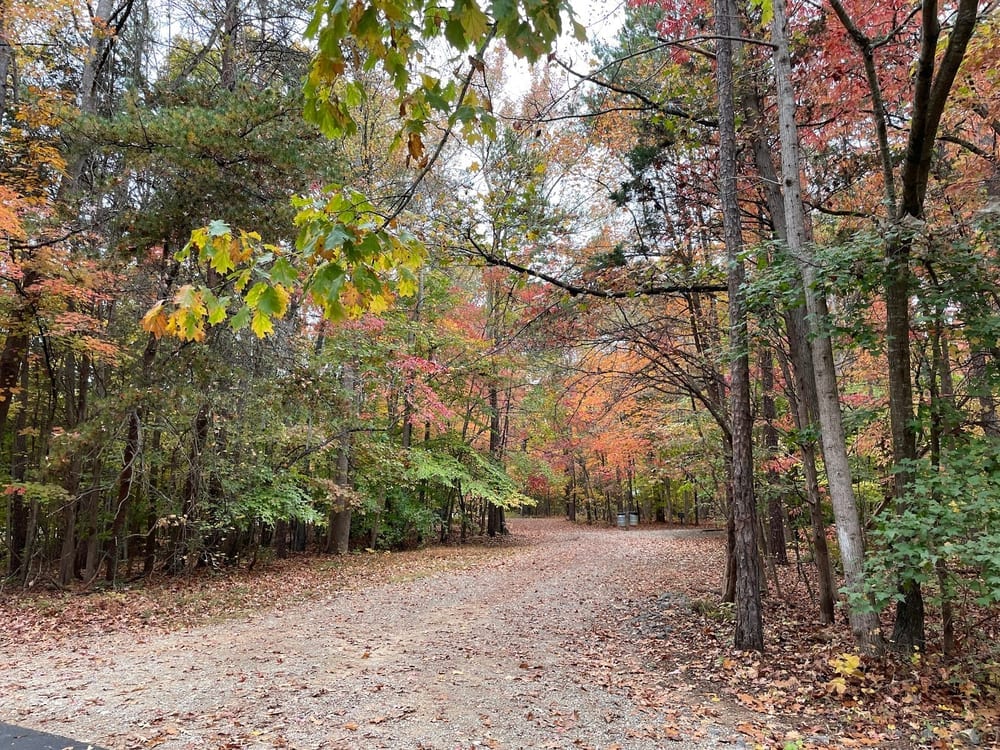 Reedy Creek Nature Preserve, photo 2