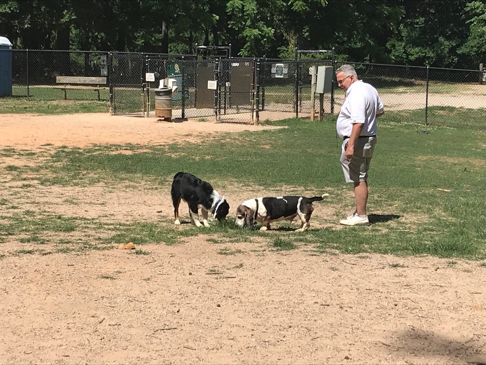 Reedy Creek Park Dog Park