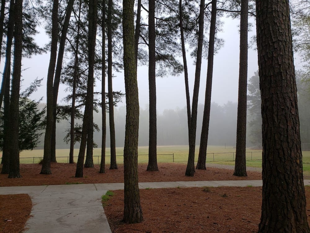 Reedy Creek Park Dog Park, photo 2