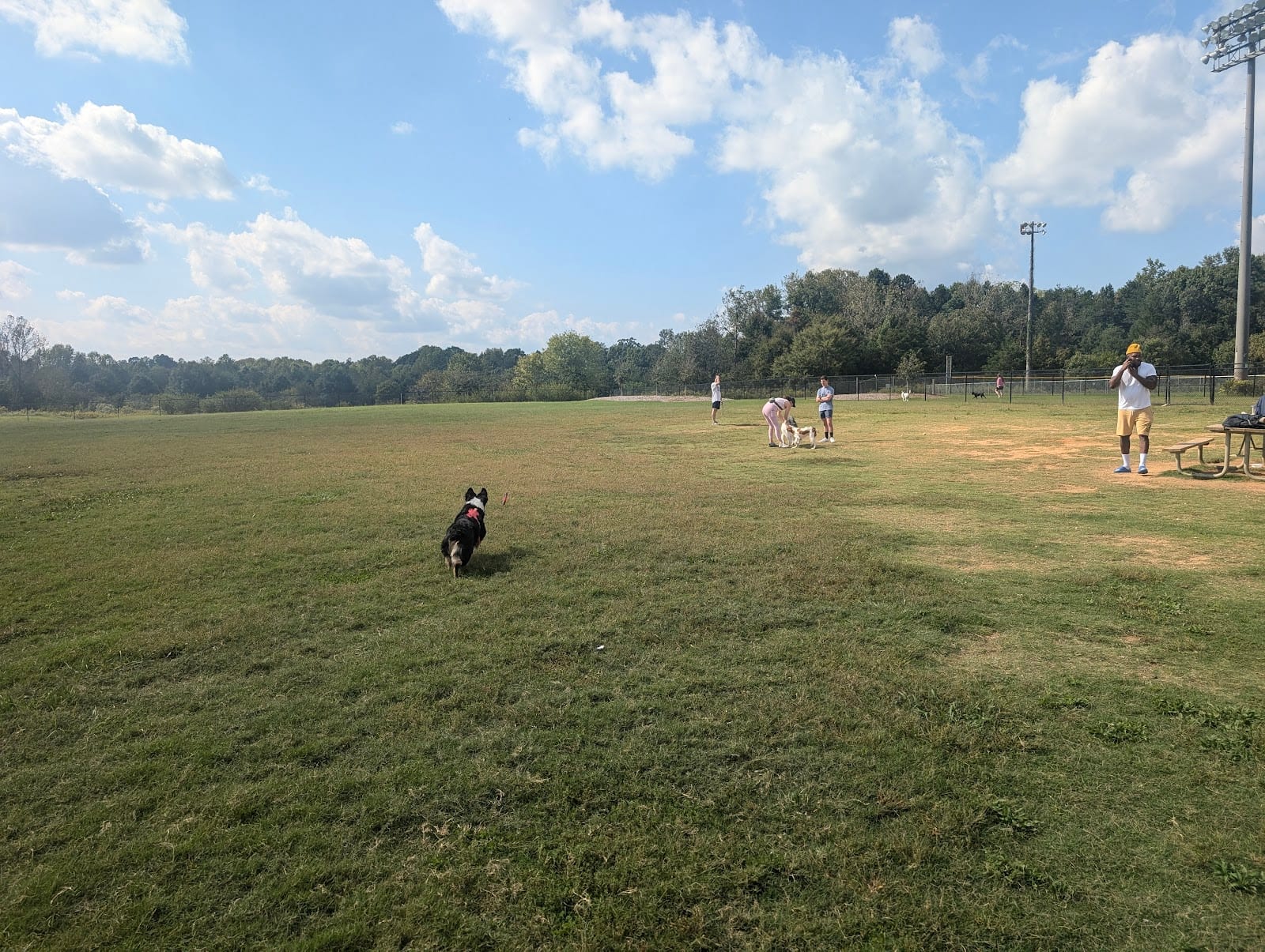 Renaissance Dog Park