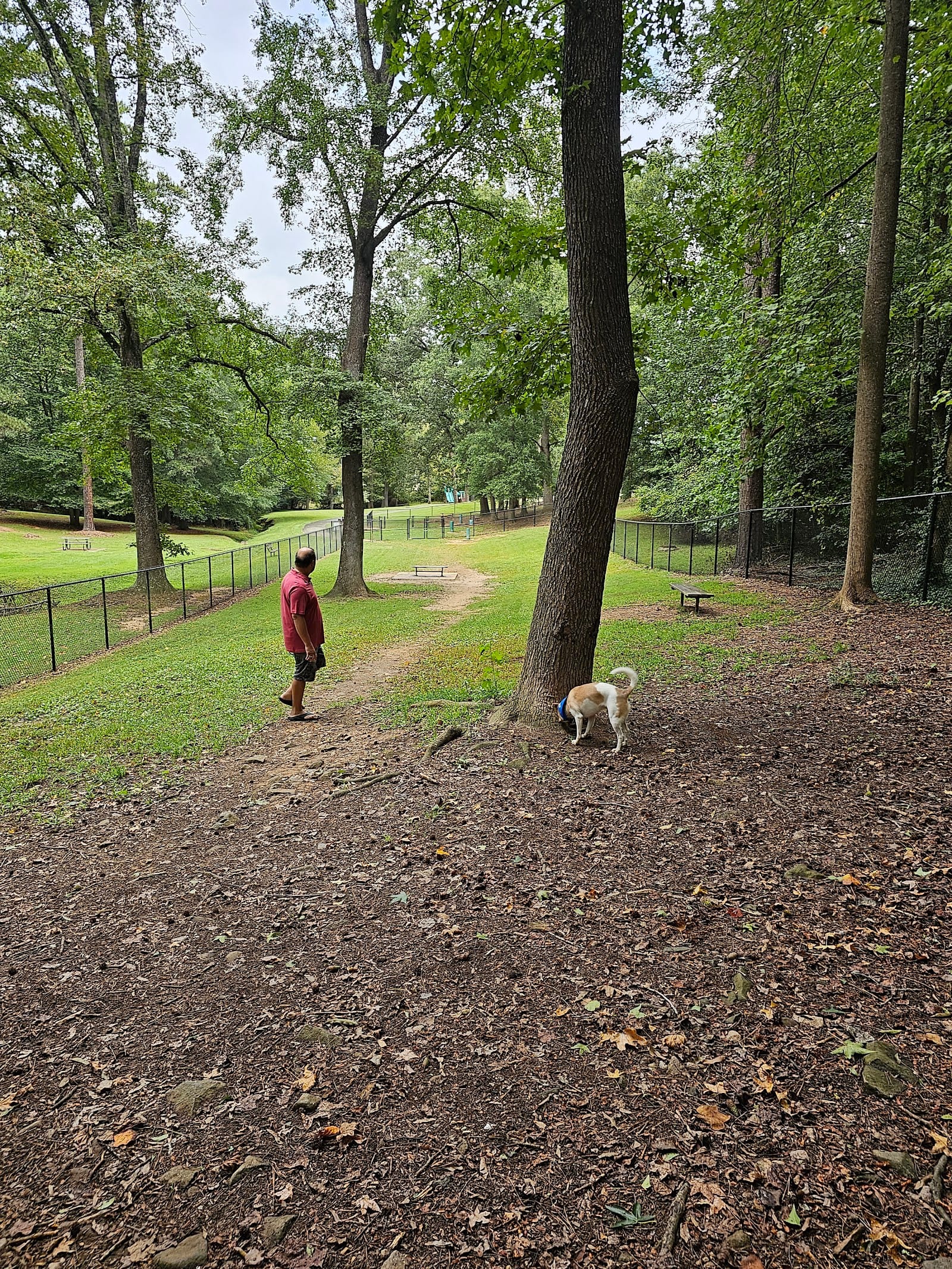 Spencer Park Dog Park