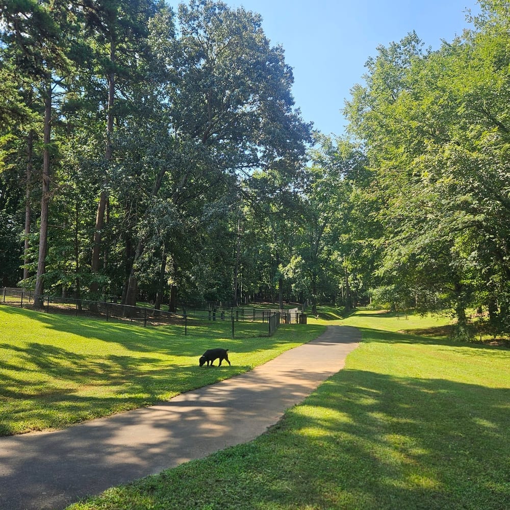 Spencer Park Dog Park, photo 2