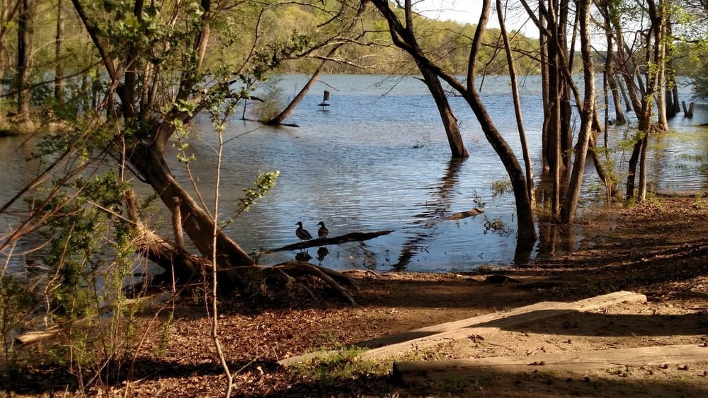 Tuckaseege Park, photo 2