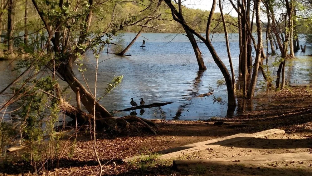Tuckaseege Park, photo 2