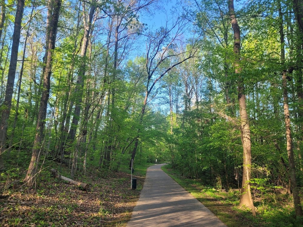 Weddington Road Bark Park, photo 3