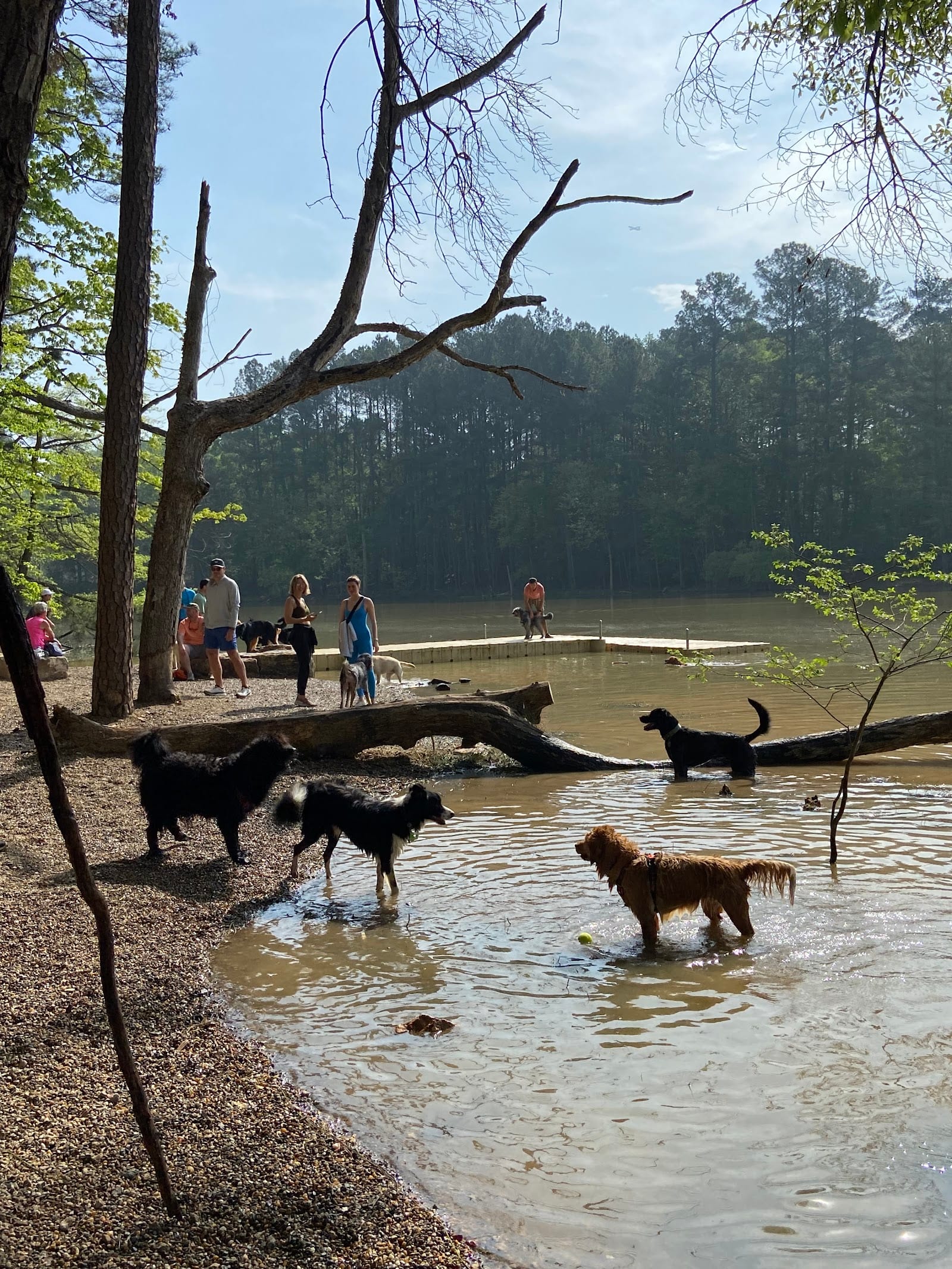 Whitewater Center Off Leash