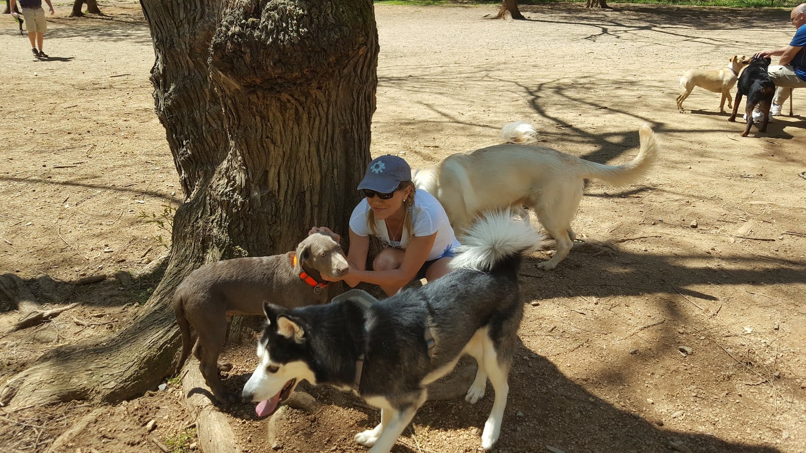 William R. Davie Park