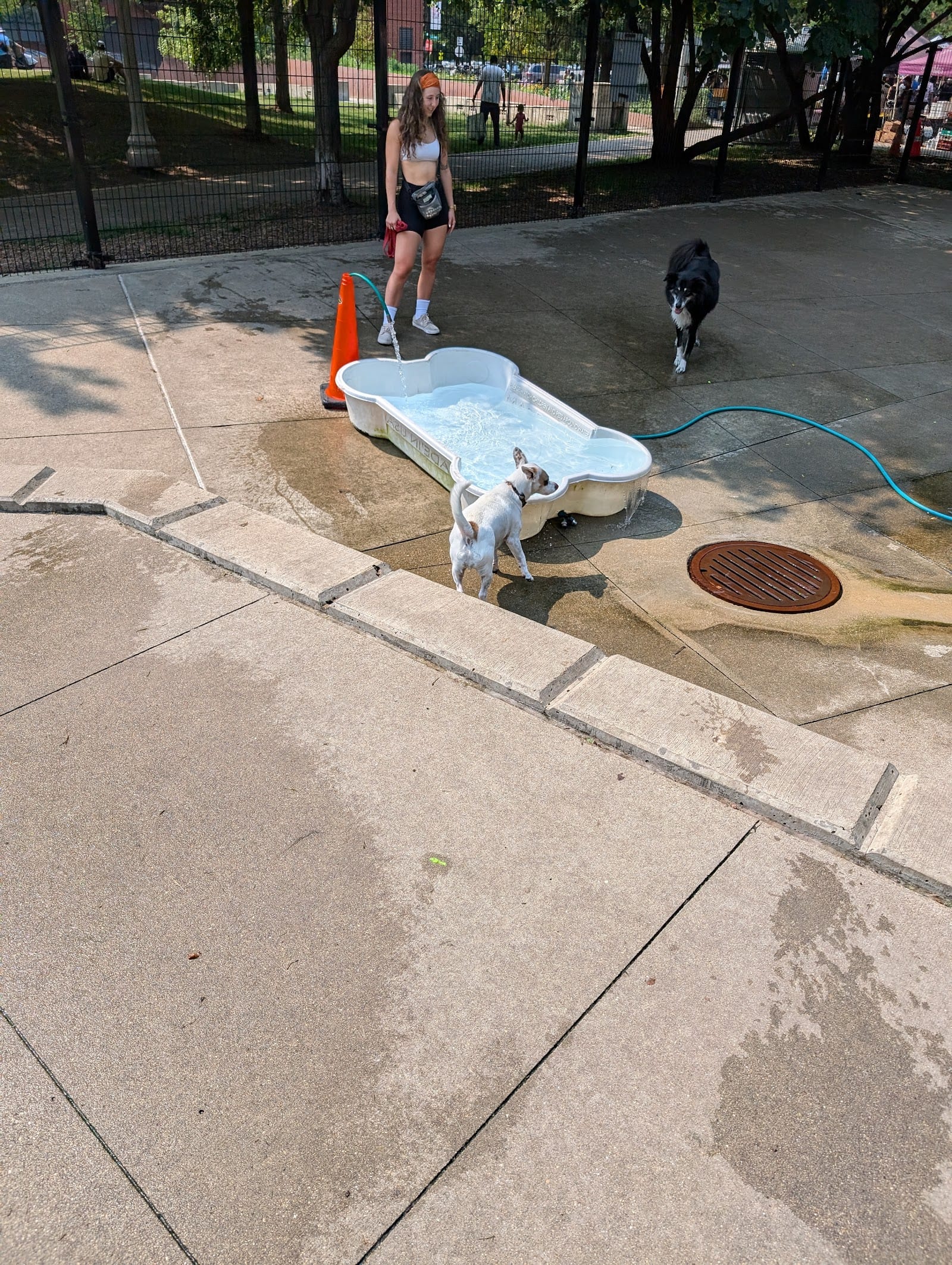 Bartelme Dog Friendly Area