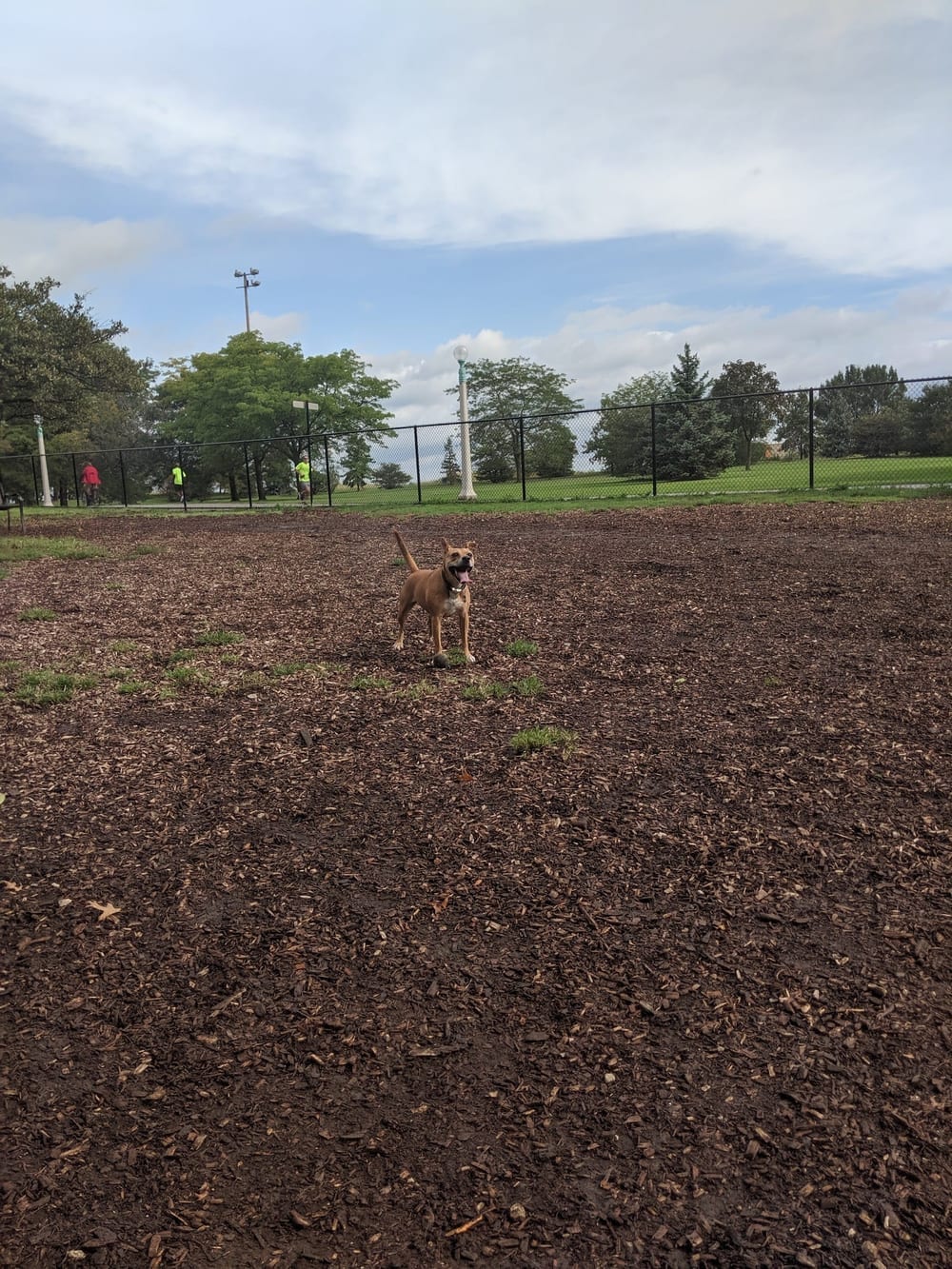 Edgewater Dog Park, photo 2