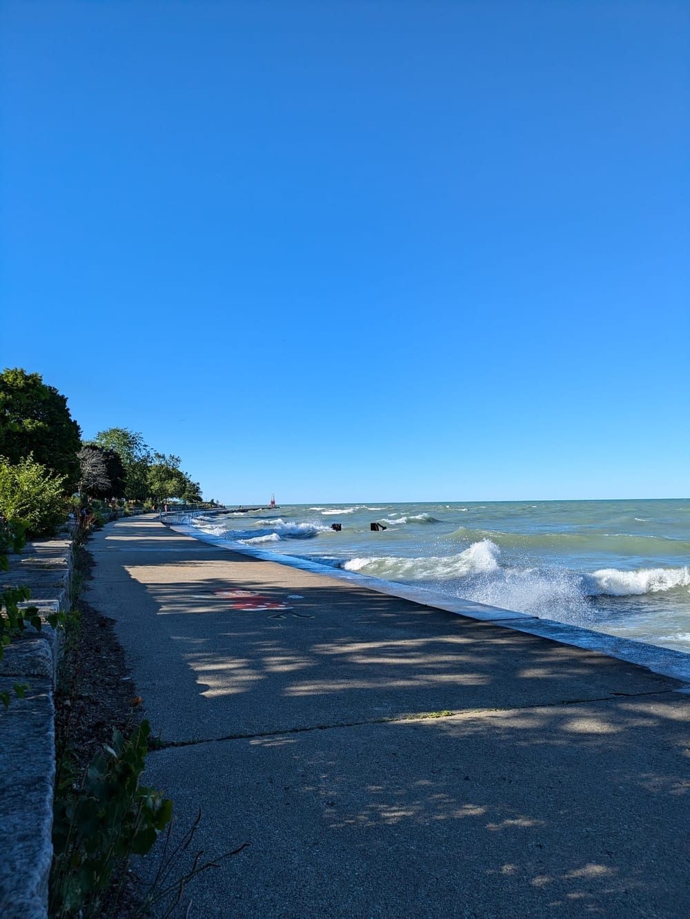 Edgewater Dog Park, photo 3