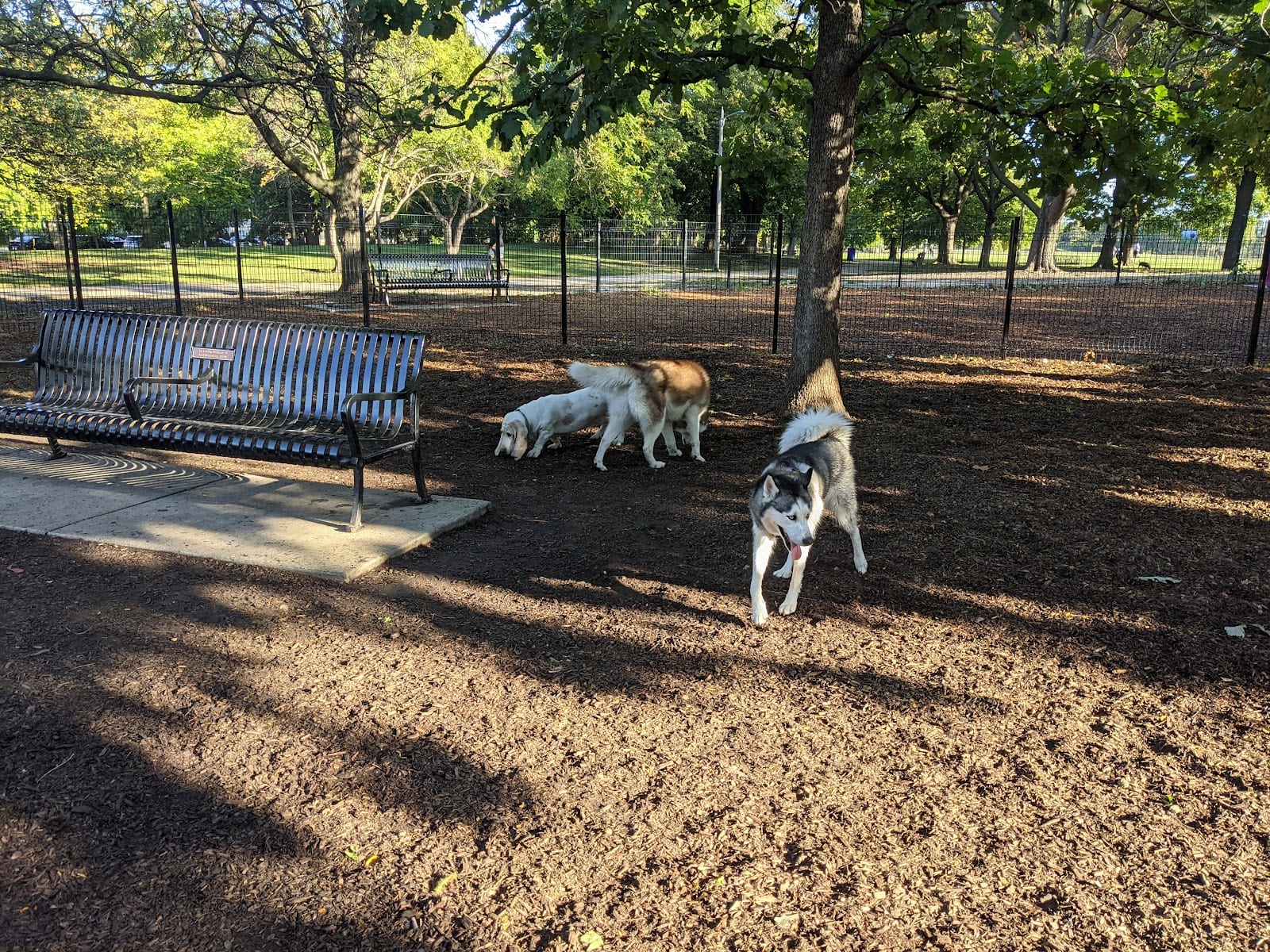 Horner Park Dog Park