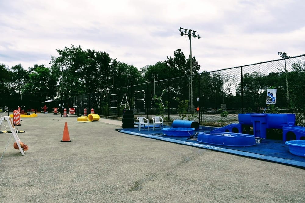 Jackson Bark, photo 3