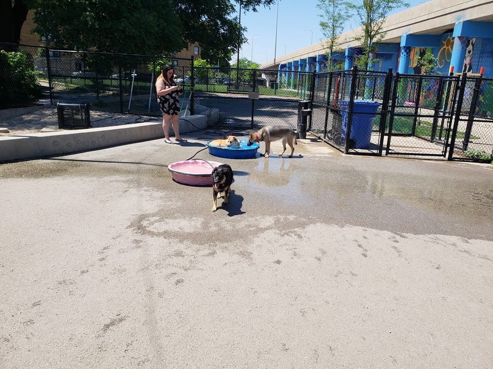 Logan Square Dog Park, photo 2