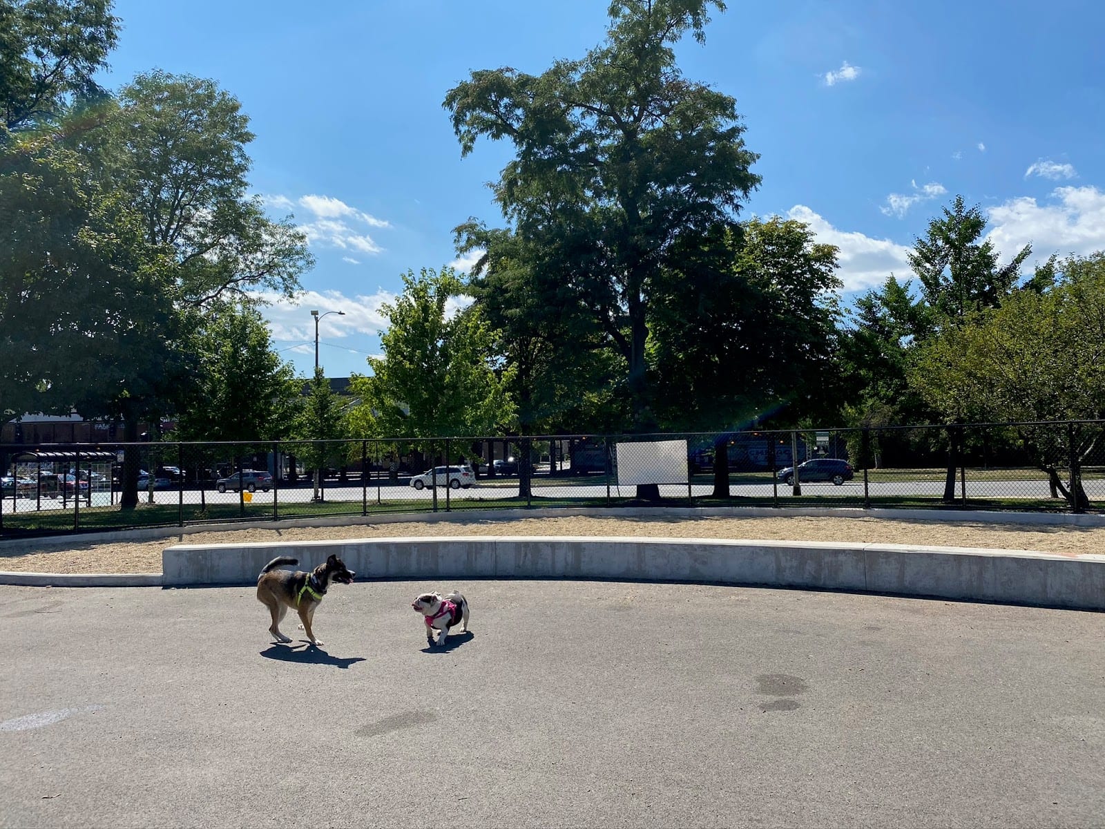 McKinley Dog Park