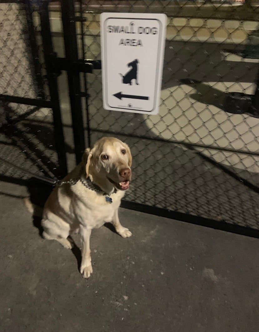 McKinley Dog Park, photo 2