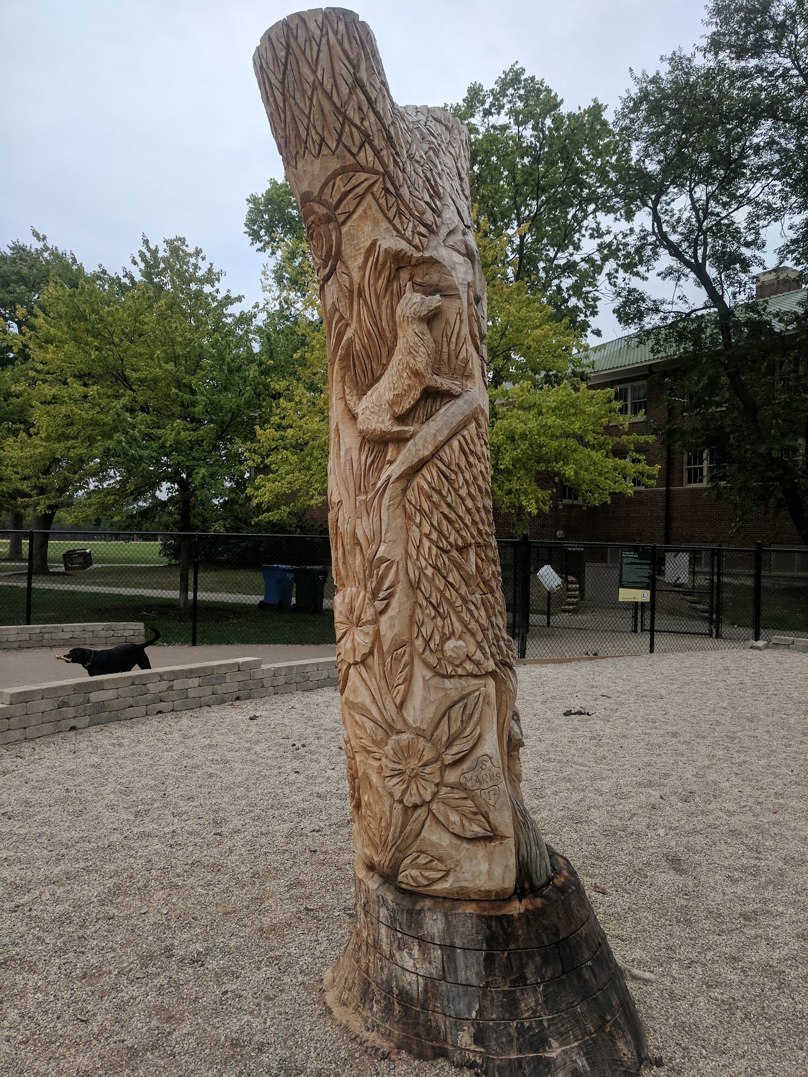 Portage Park Dog Friendly Area