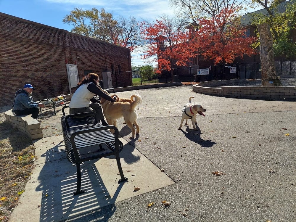 Portage Park Dog Friendly Area, photo 2
