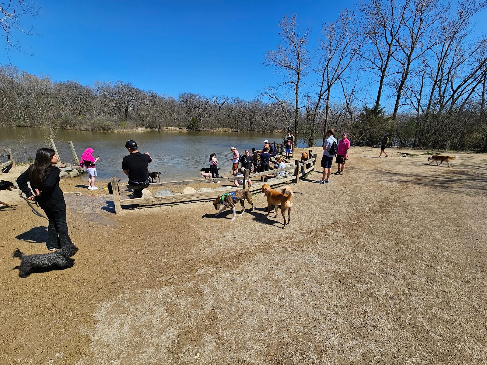 Prairie Wolf Off-Leash Dog Area